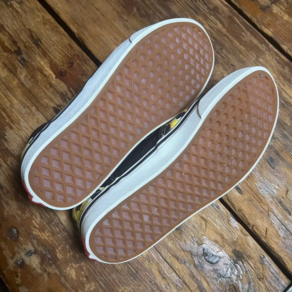 Vans asher classic